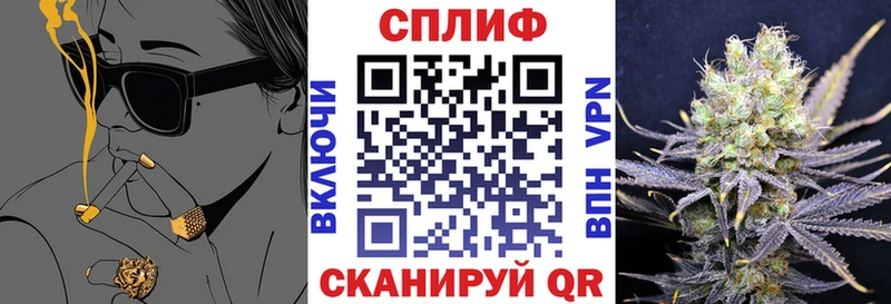 Купить закладки  Вязники  Конопля AK-47 